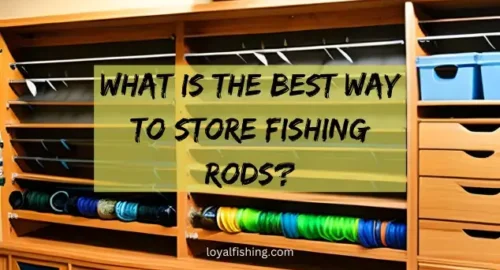 What is the Best Way to Store Fishing Rods