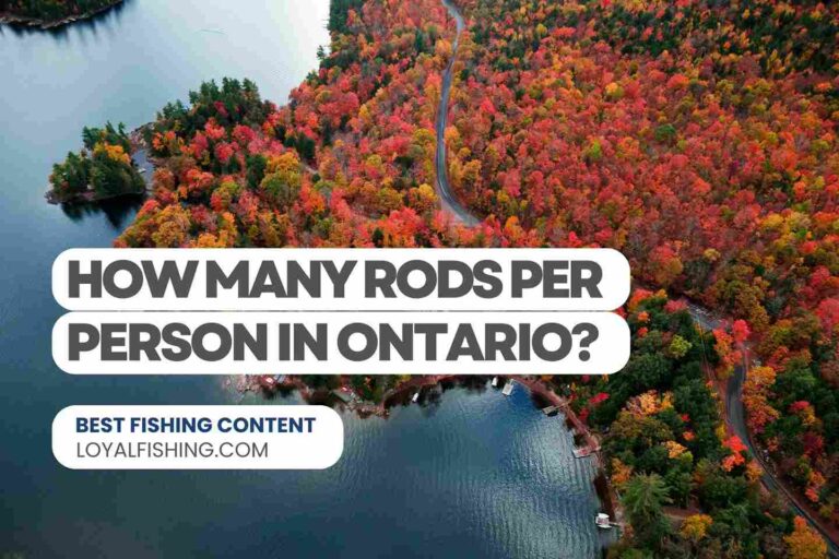 How Many Fishing Rods Per Person in Ontario