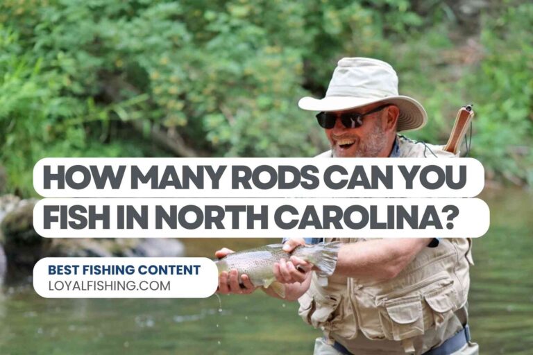 How Many Rods Can You Fish Within North Carolina?