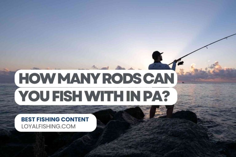 How Many Rods Can You Fish With in PA