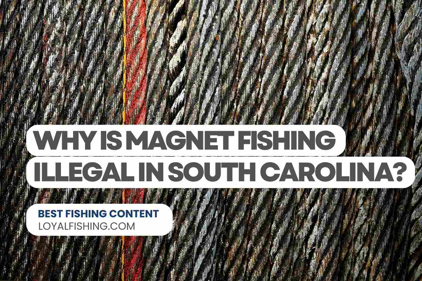 Why is Magnet Fishing Illegal in South Carolina?