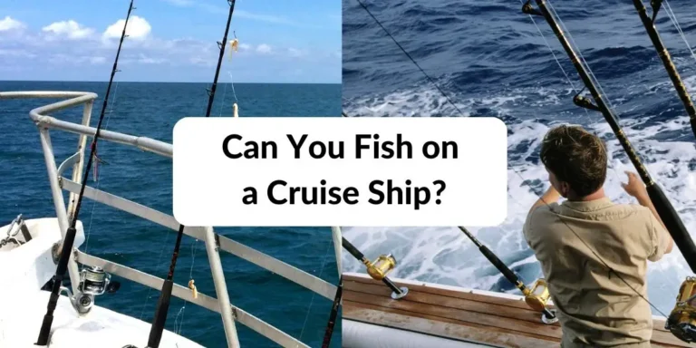 Can You Fish off a Cruise Ship