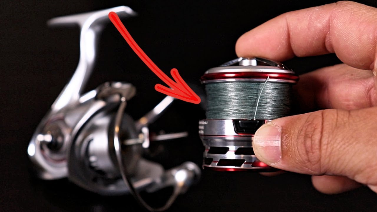 How Often Should You Change Your Fishing Line