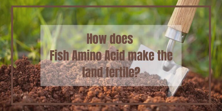 How to Apply Fish Amino Acid to Plants