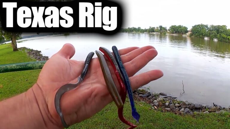 How to Fish a Texas Rig from the Bank
