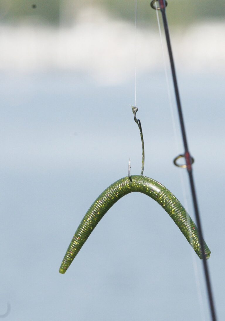 How to Fish Wacky Rig from Shore?