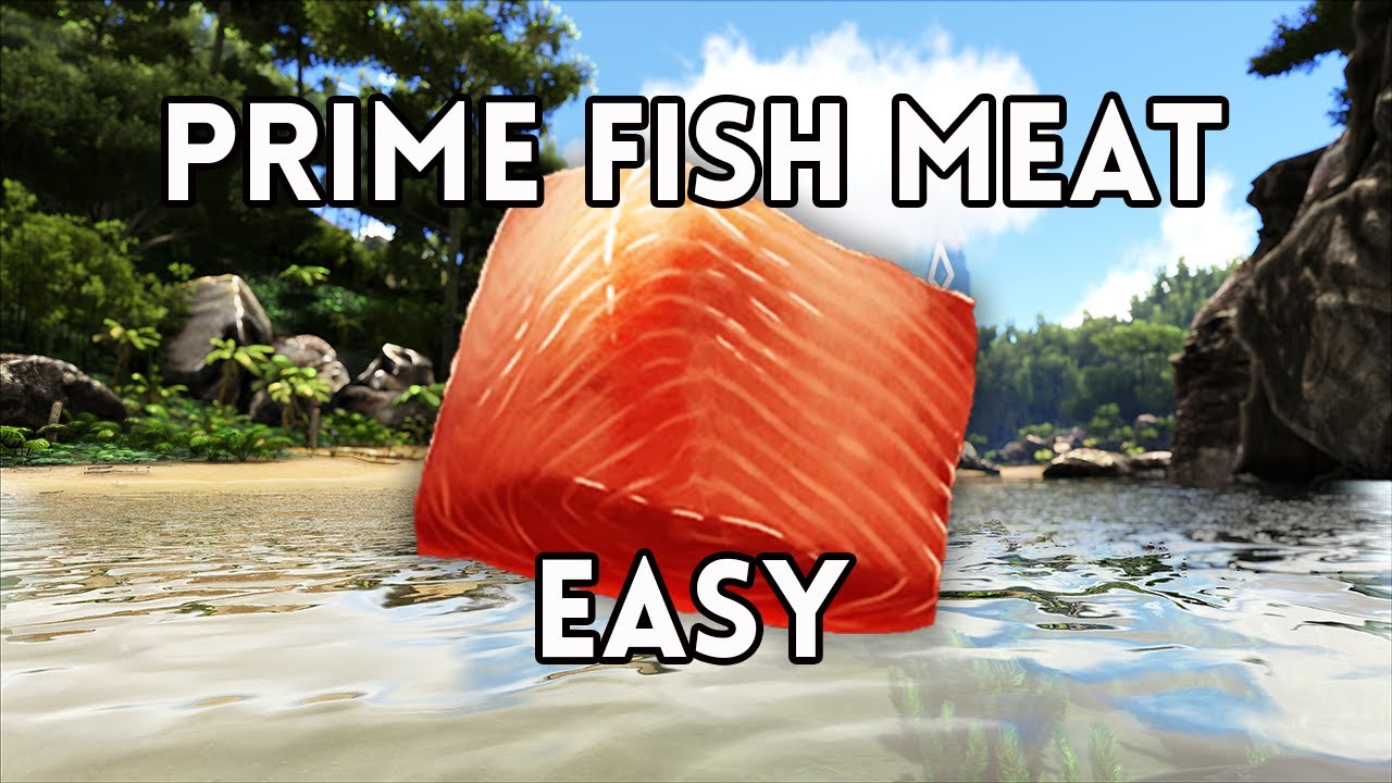 How to Get Raw Prime Fish Meat Ark