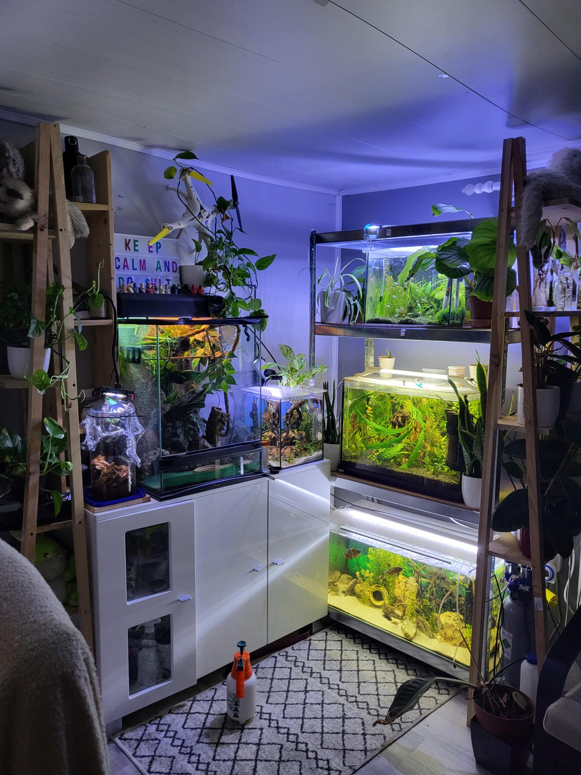 How to Hide Fish Tank from Landlord