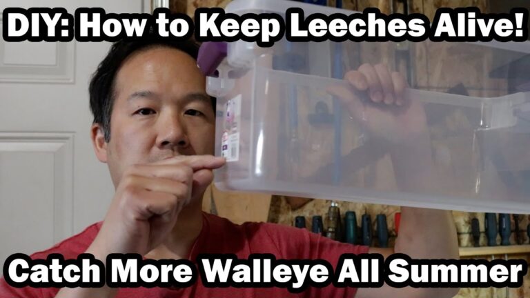 How to Keep Leeches Alive for Fishing