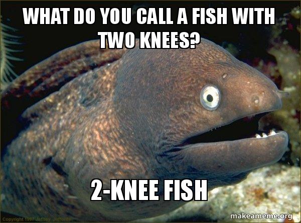 What Do You Call a Fish With Two Knees