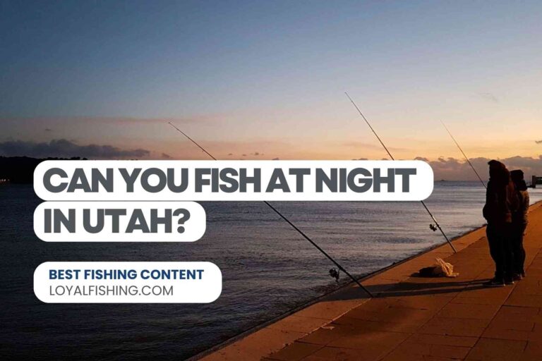 Can You Fish at Night in Utah