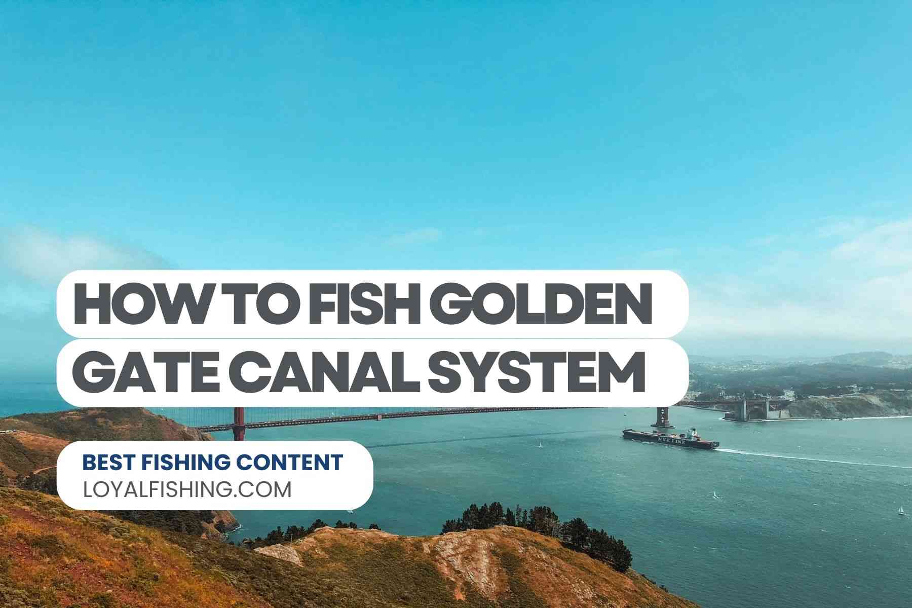 How to Fish Golden Gate Canal System