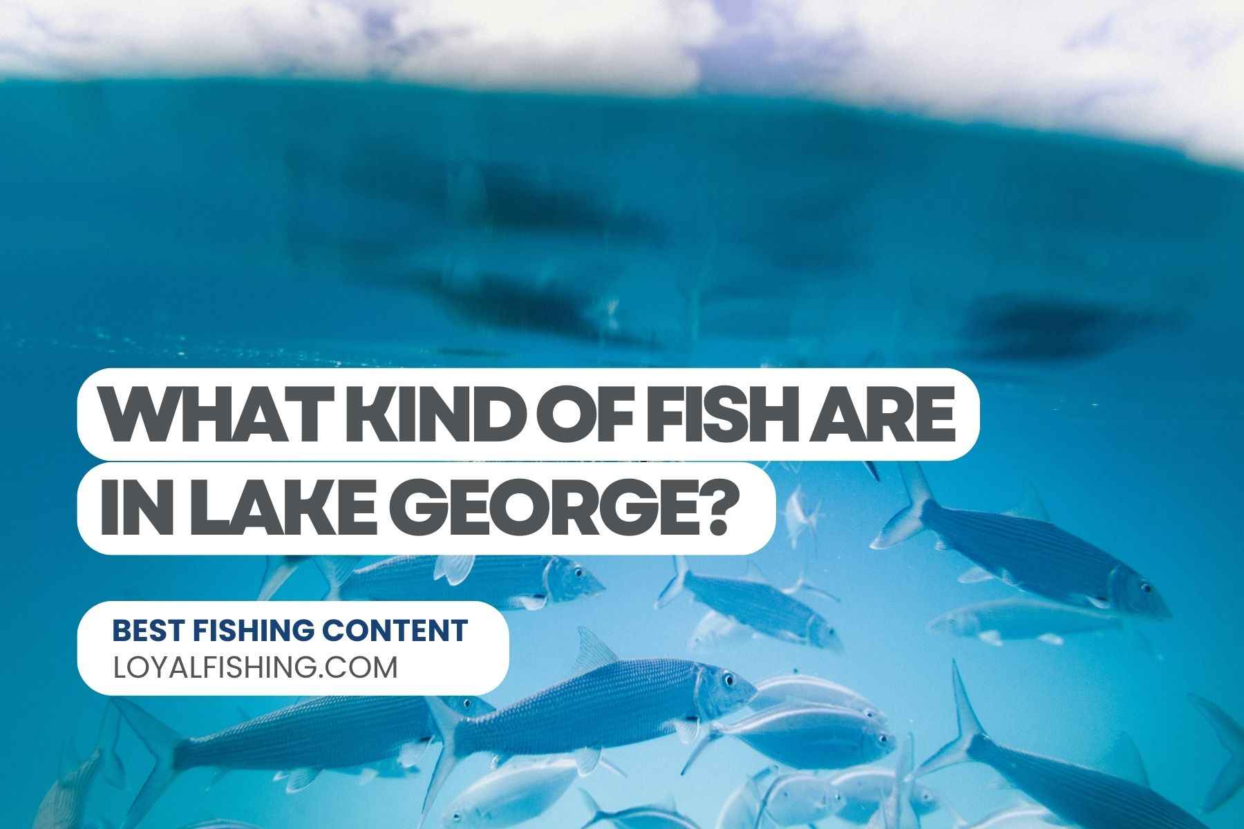 What Kind of Fish are in Lake George?