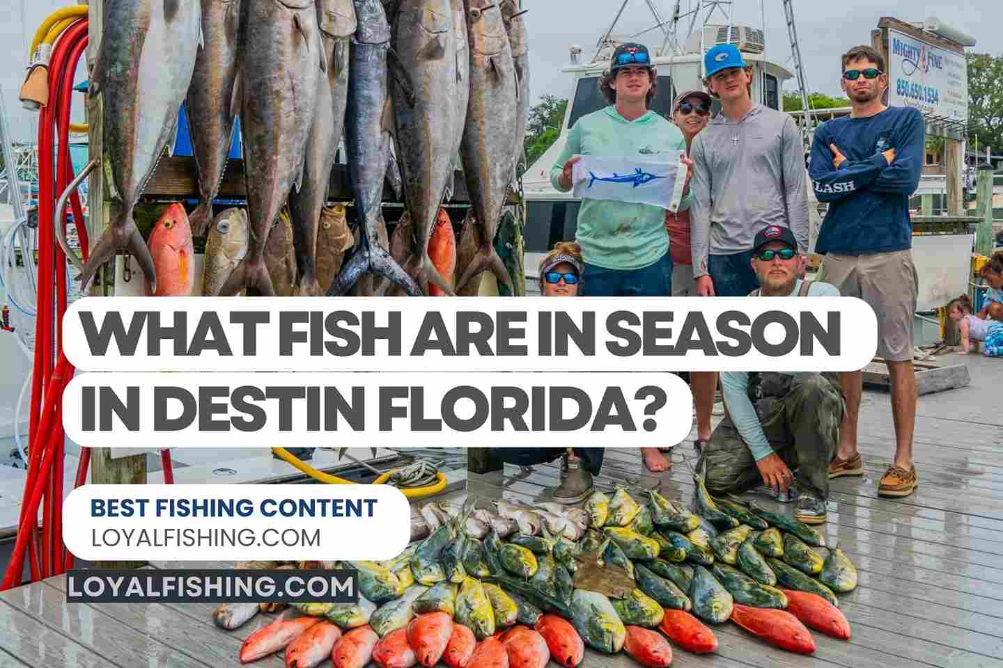 What Fish are in Season in Destin Florida