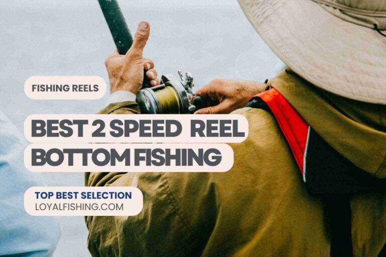 Best 2 Speed Reel For Bottom Fishing 2024