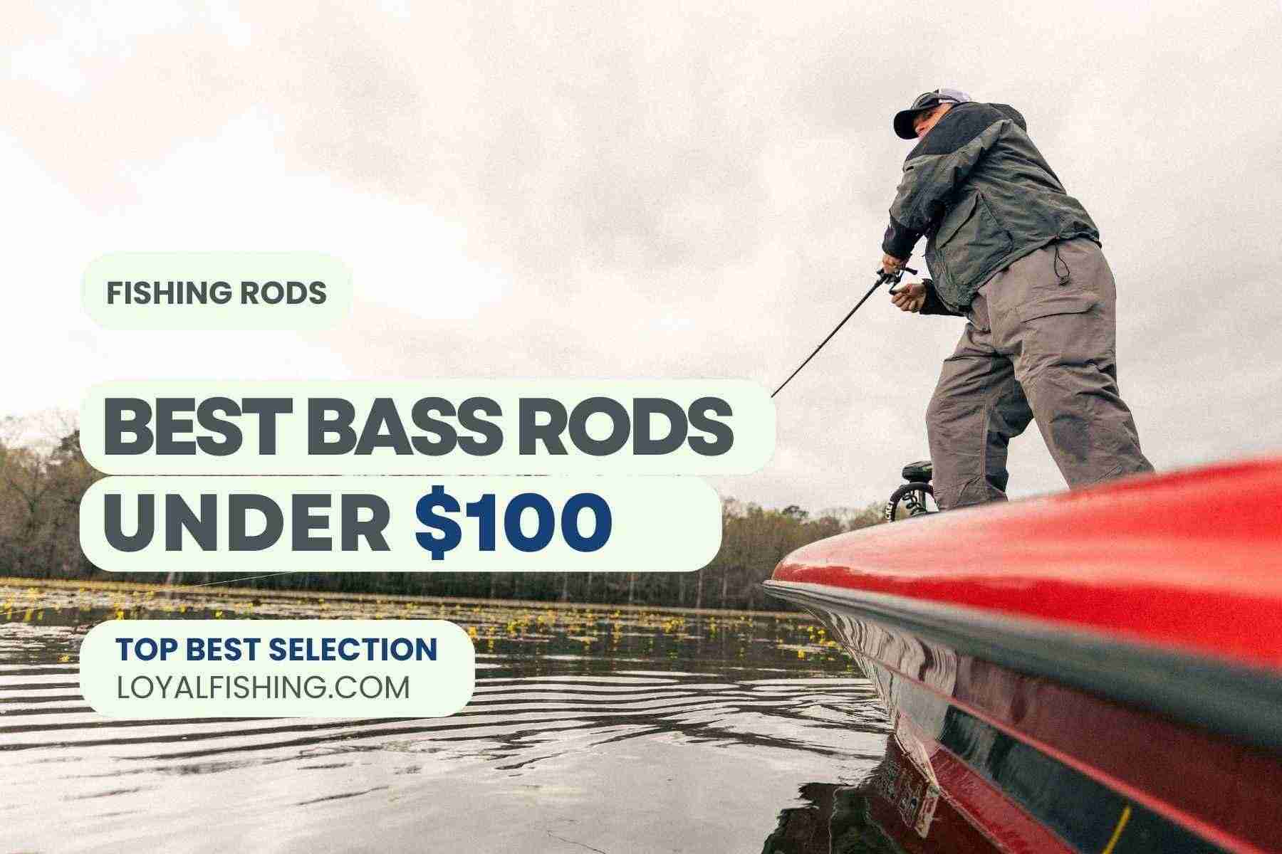 Best Bass Rods Under 100