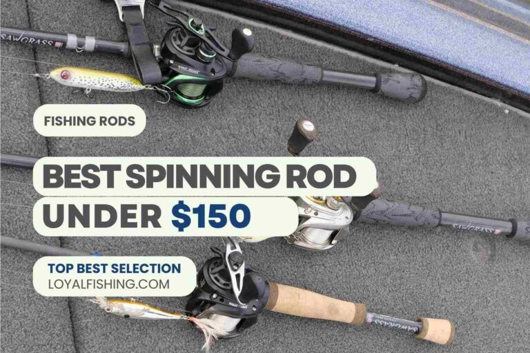 Best Fishing Rods Under 150