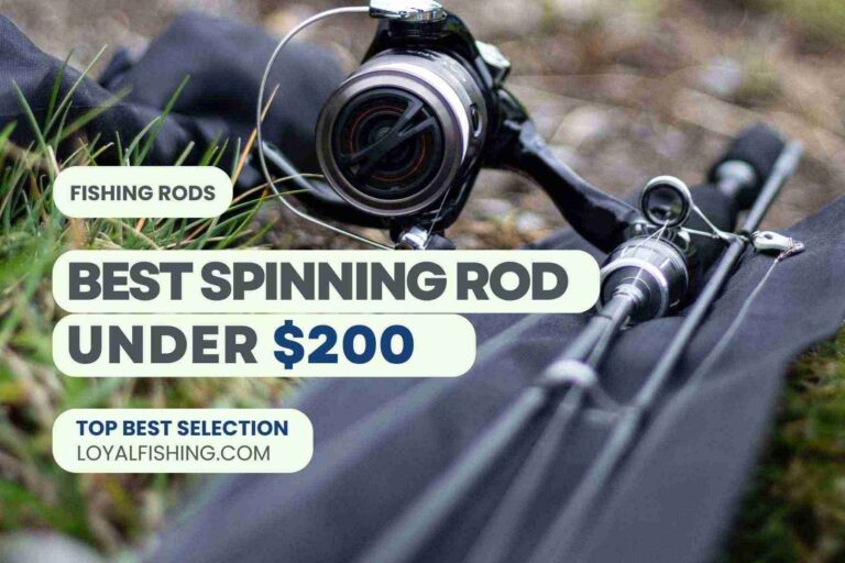 Best Spinning Rod Under $200 for 2024