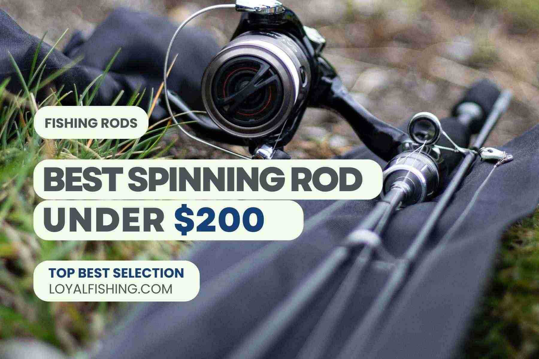 Best Fishing Rods Under 200