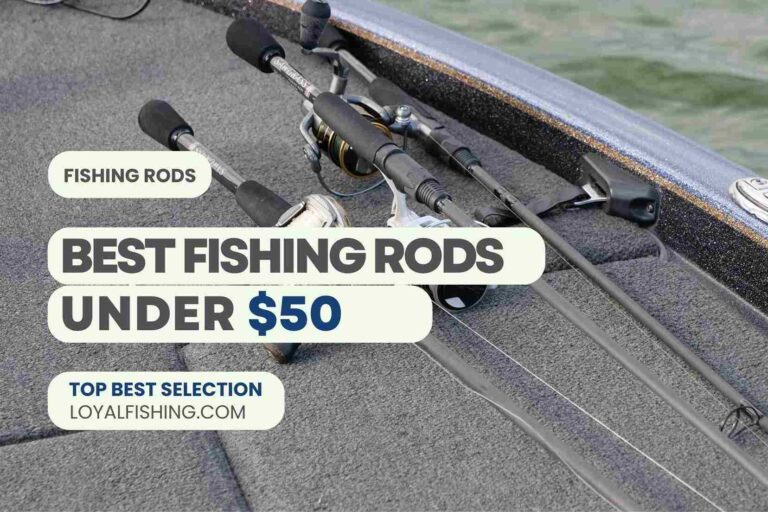 Best Fishing Rods Under $50-$60 For 2024