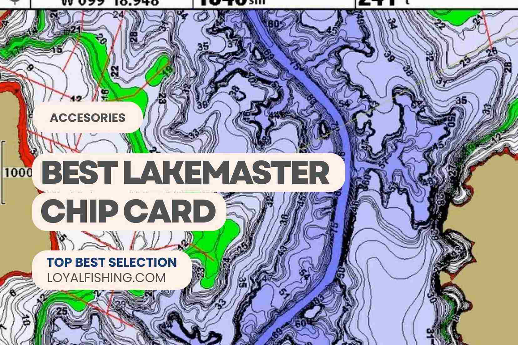 Best LakeMaster Chip Card