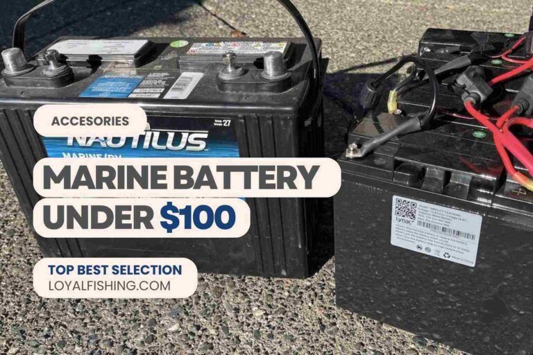 Best Marine Battery Under $100: Reviews With Buying Guide
