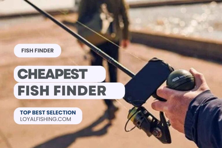 Best Cheap Fish Finder for 2024