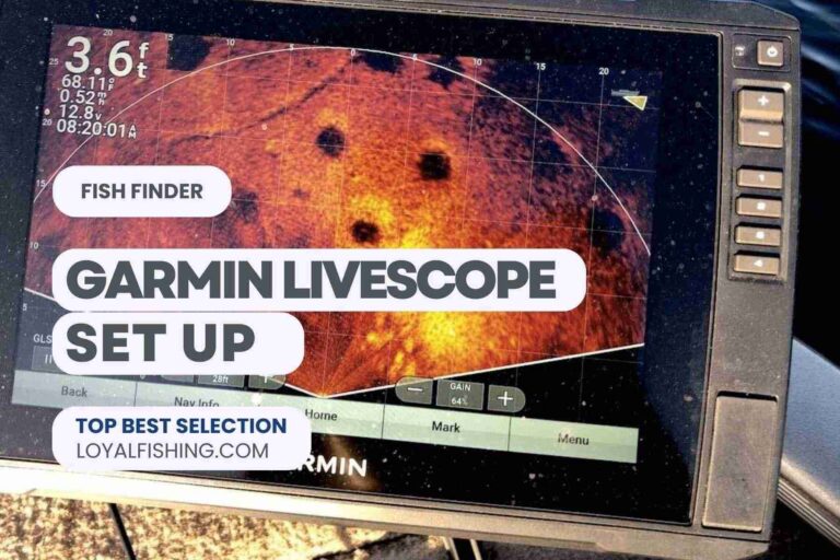 Best Garmin LiveScope Setup Review 2024