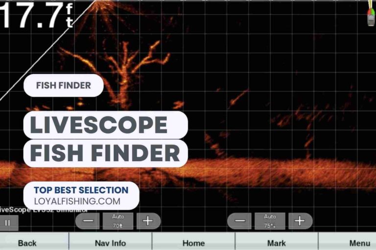 Best LiveScope Fish Finder 2024 – Worth The Money?