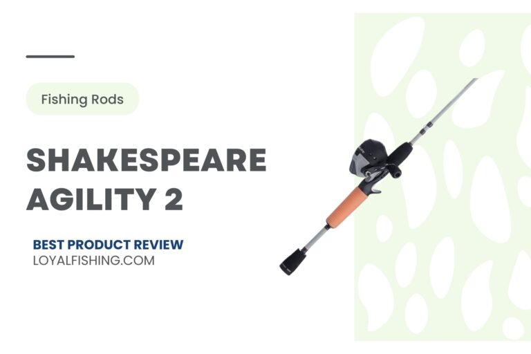 Shakespeare Agility 2 Spinning Rod · [Extended Review]