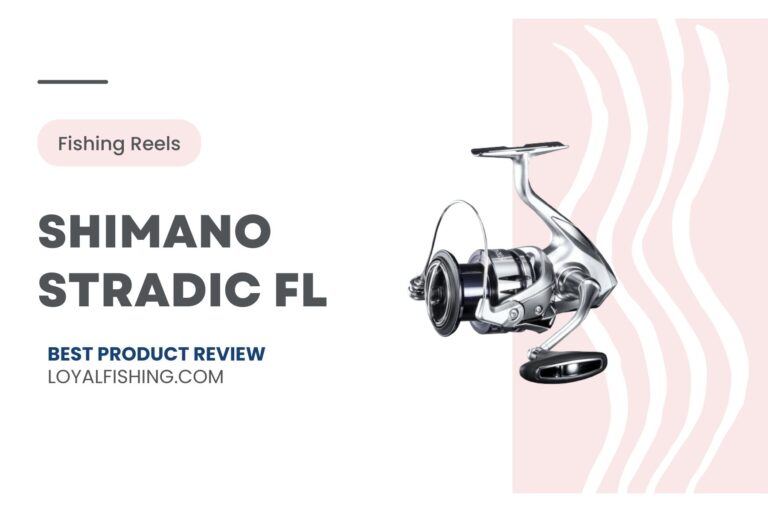 Shimano Stradic FL · [Extended Review 2024]