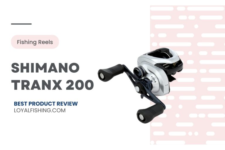 Shimano Tranx 200 Review 2024 | Is It Worth It?