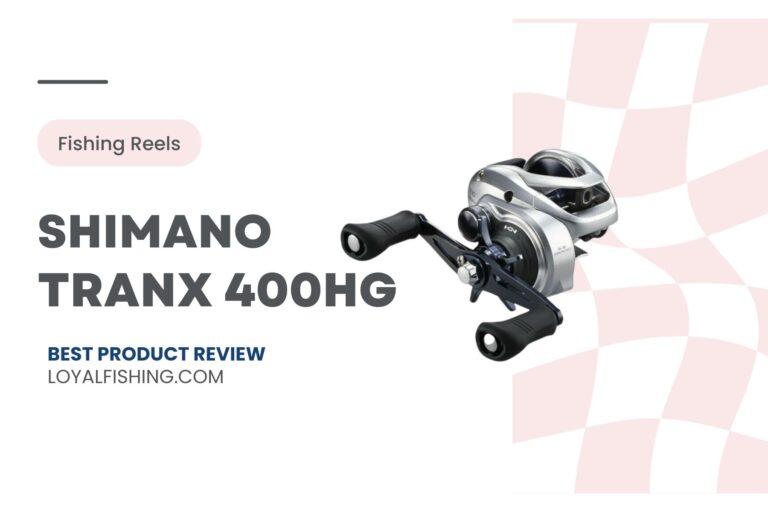 Shimano Tranx 400HG · [Review 2024] · Is it Worth the Money?