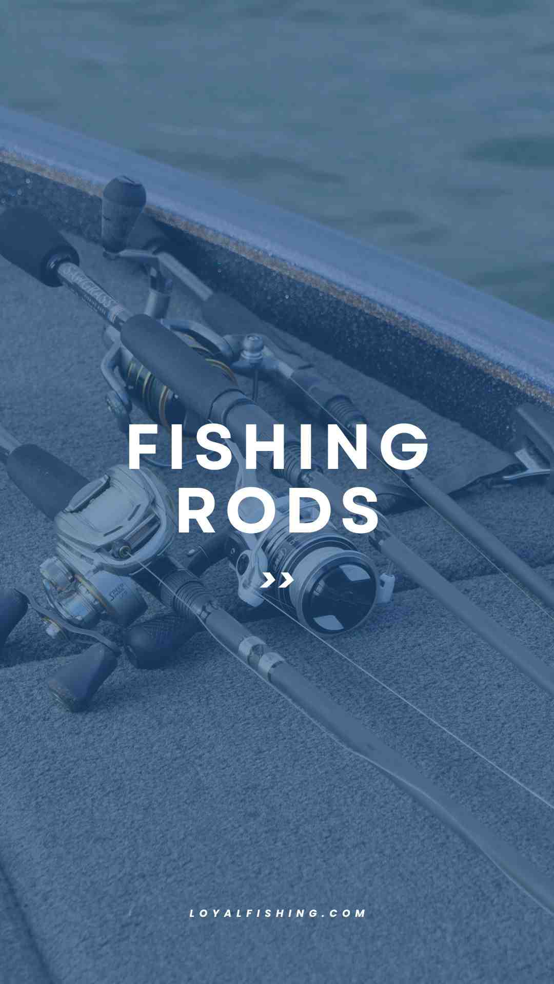Fishing Rods Homepage Section
